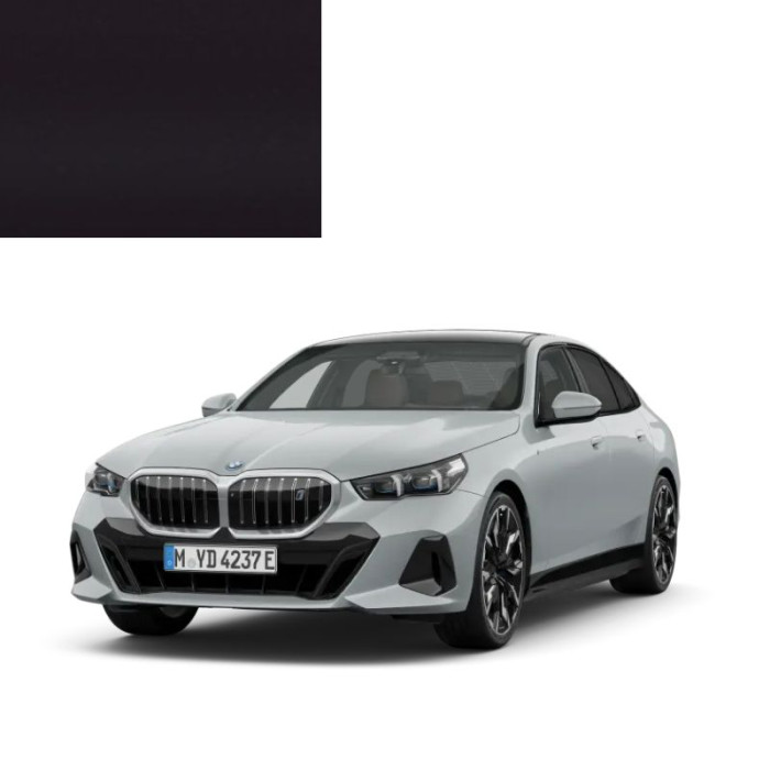 Купити Фарба за кодом акрилова чорна 348 AUBERGINE для автомобілів BMW в Україні