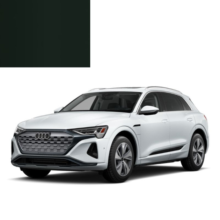 Купити Фарба за кодом акрилова зелена LY6D SHERWOODGRUEN для автомобілів Audi в Україні