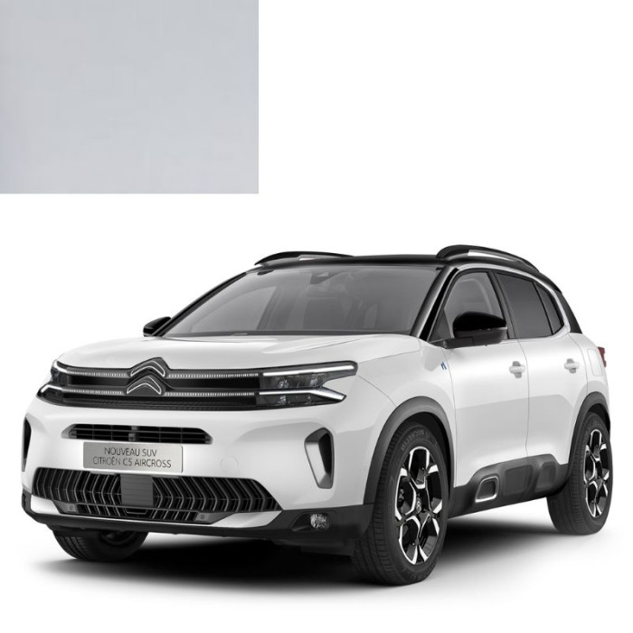 Купити Фарба за кодом акрилова біла 210F BLANC для автомобілів Citroen в Україні