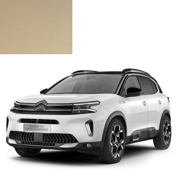 Купити Фарба за кодом акрилова бежева ECC BEIGE TROPICO для автомобілів Citroen в Україні