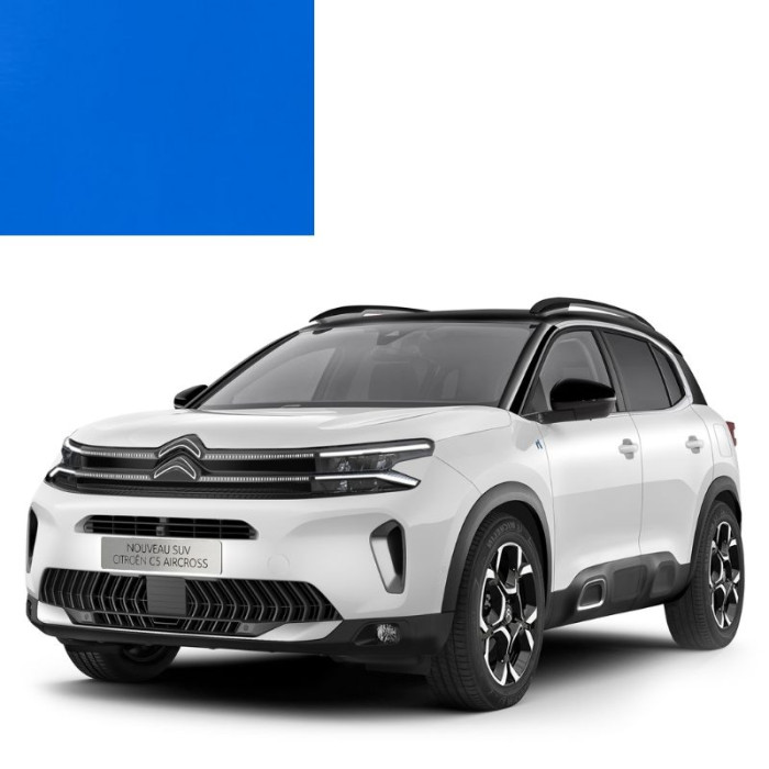 Купити Фарба за кодом акрилова синя EMG BLEU EDF для автомобілів Citroen в Україні