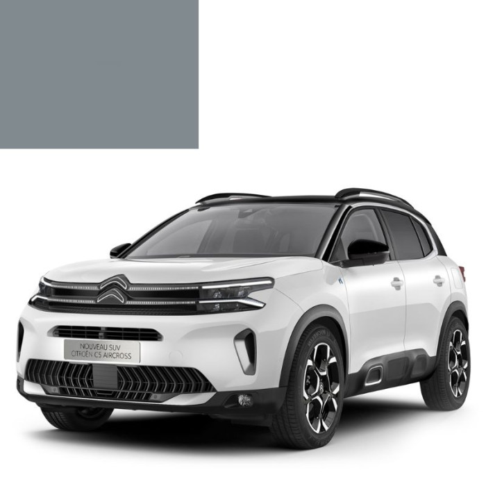 Краска по коду акриловая серая EYK APPRET GRIS MOYEN для автомобилей Citroen