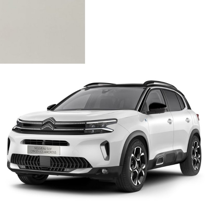 Купити Фарба за кодом акрилова біла KCZ BLANC ANTARCTIQUE для автомобілів Citroen в Україні