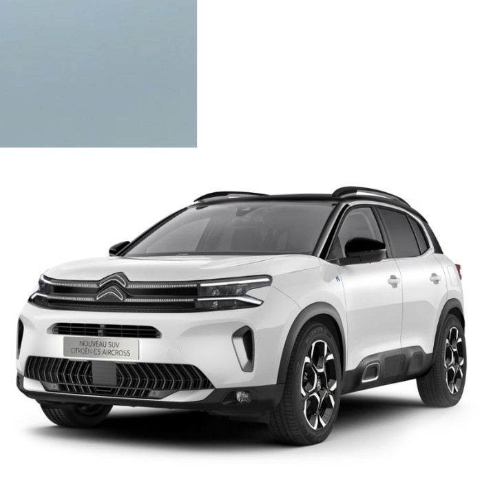 Краска по коду акриловая синяя KGX BLEU BOTTICELLI для автомобилей Citroen