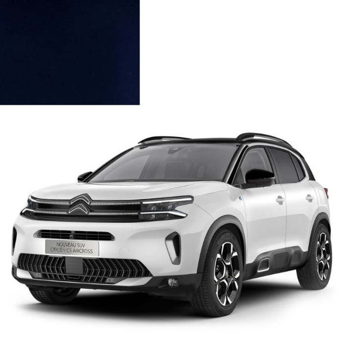 Купити Фарба за кодом акрилова синя KNP DRAGOON BLUE для автомобілів Citroen в Україні