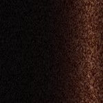AST1271