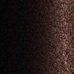 AST1271D