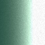 6N / LY6S / Y6S