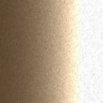 EVN / BU0731