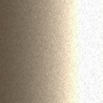 ECM