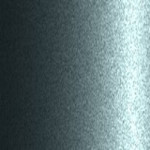 DW009
