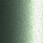 8006 / 45