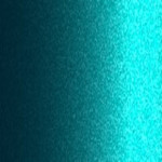 BG28P