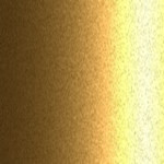 Y61P-5 / Y61P (L)