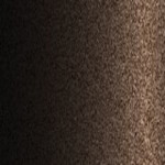 YN6