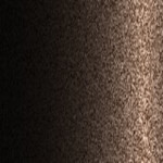 YN7