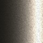 C31