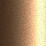 831 / 2193-P1