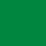 989 / G021-P801-0