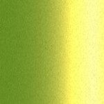 366
