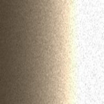 846 / GAN