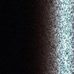 2359 / PPN / NMF