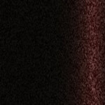 AC11346 / X46