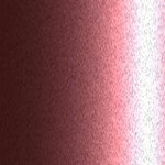 AC11221 / P21