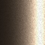 661-8029M