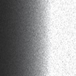 CKU10033 / U33