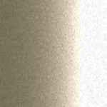 ML007
