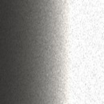 ML005