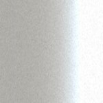 CKW10081 / W81