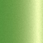 F24 / CSF10024