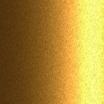 M0DX / EDX
