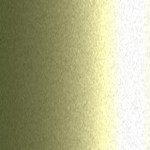 Y1 / L275 / 275