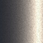 W19
