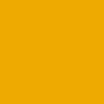 Y79 / AC16979