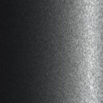 XG / BU0445