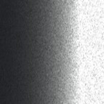 BU0361 / 205248