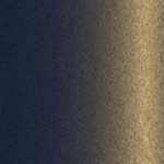 D40