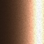 L27A