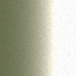 TAT641 / TA137