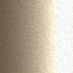 4T8