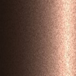 4Y6