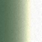 TAV007