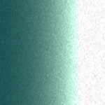 TAV008