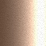 304 / 3D4