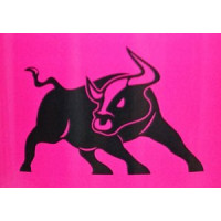 TORO